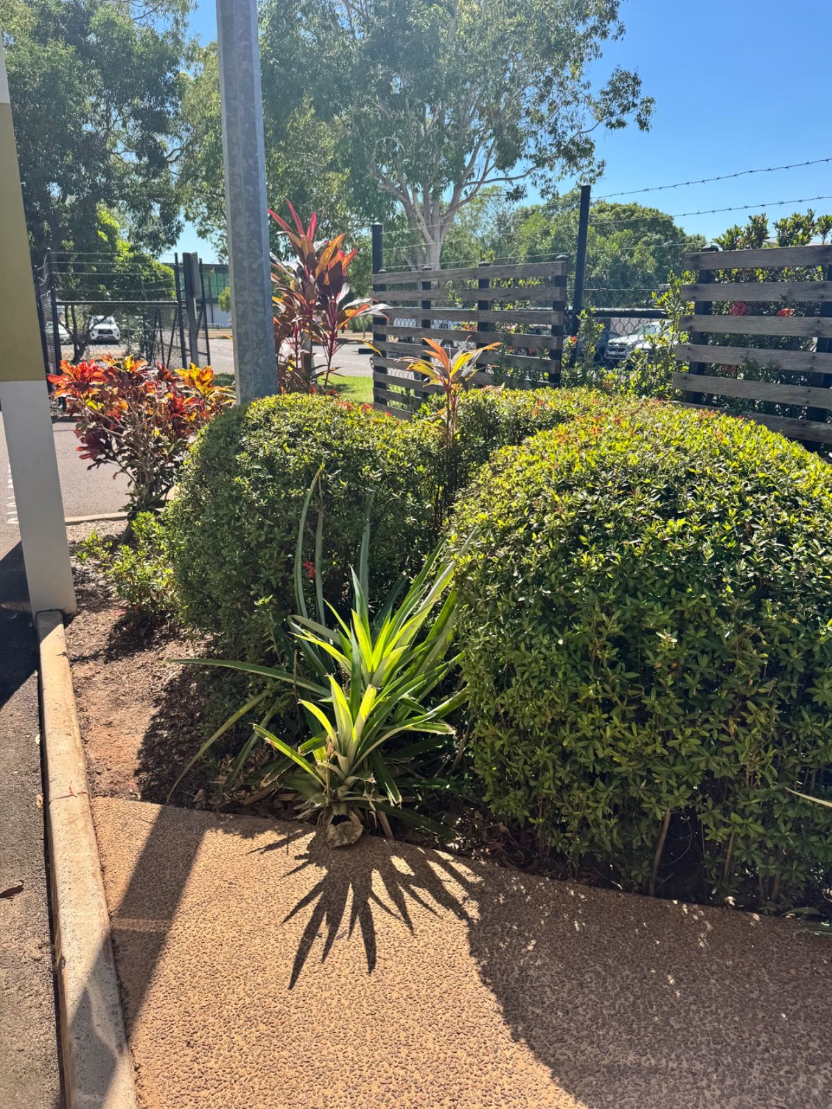 Garden Maintenance Darwin